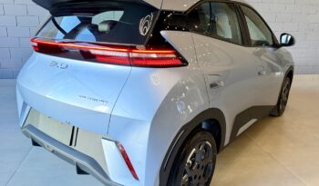 BYD DOLPHIN MINI 38 KW ELÉTRICO GS – 2026 / 2027 total