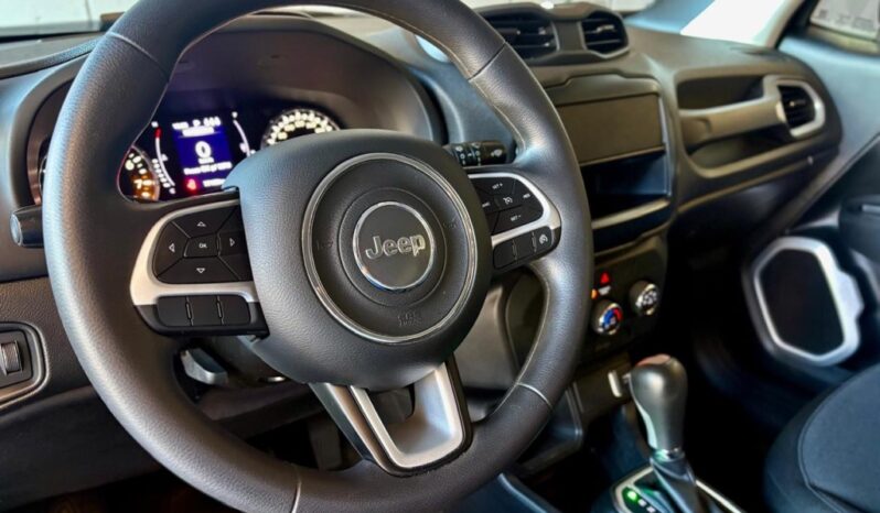 JEEP RENEGADE 1.8 16V FLEX 4P AUTOMÁTICO – 2019 / 2019 total