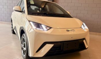 BYD DOLPHIN MINI 38 KW ELÉTRICO GS – 2026 / 2027 total