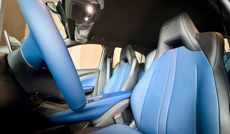 BYD DOLPHIN MINI 38 KW ELÉTRICO GS – 2026 / 2027 total